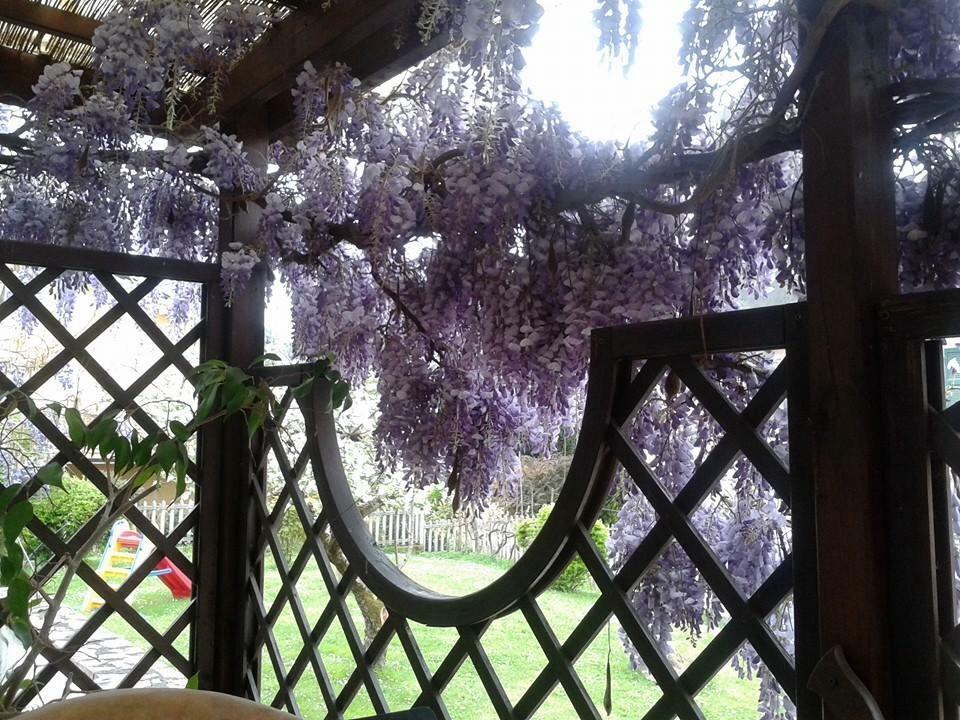 ريكو ديل غولفو دي سبيزيا Il Ghiro B&B المظهر الخارجي الصورة