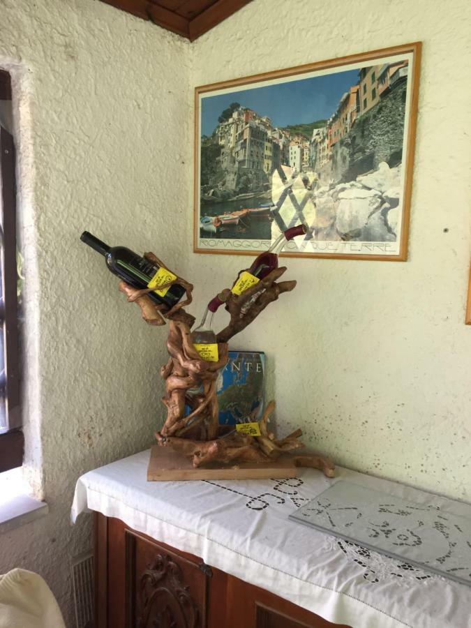 ريكو ديل غولفو دي سبيزيا Il Ghiro B&B المظهر الخارجي الصورة